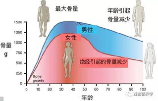 白银是由什么成分组成的？