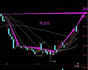 宁波联合股票走势如何，可以介入吗