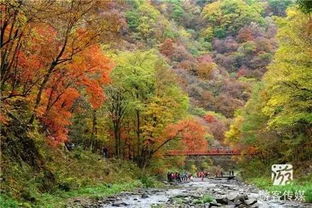 清原筐子沟风景区枫叶欣赏 