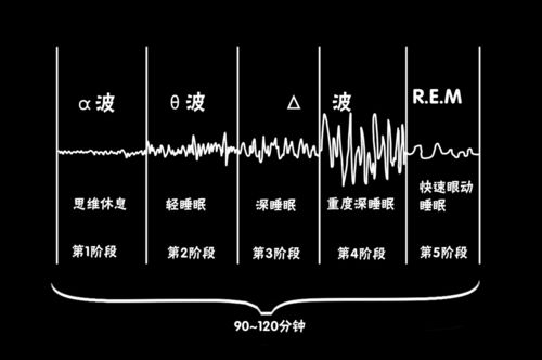 保障充足的睡眠,究竟有多重要