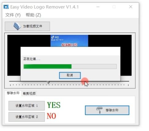 视频去水印有它就够了,强大算法软件去除水印
