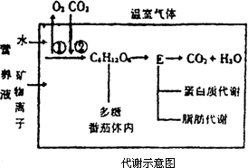 48.现在用无土栽培的方法培养蔬菜非常的广泛.但无土栽培的培养液中如缺少某种植物生长的必需元素.植物就不能正常的生长.而研究植物所需矿质元素的一个方法就是水培法 