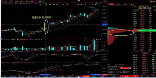 求股票价格回踩某一天涨停前收盘价的同花顺公式