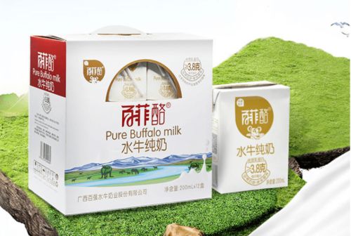 一口就爱上的水牛奶,牛奶中的极品,你喝了吗