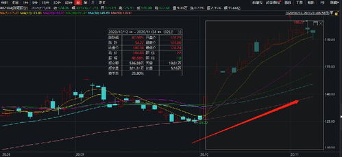 我在公司占有5%股份，现占股份55%的股东不想继续开展公司业务，公司处于停滞状况，我该怎么办？