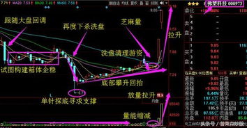 000973佛塑科技这支股票我是5.03元买入，现在跌到了4.33元，什么时候会涨到不让我亏本啊。