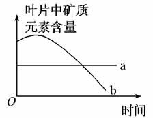 7.有氧呼吸是高等生物生命活动所需能量的重要来源.葡萄糖在细胞质内分解成丙酮酸的过程中.下列叙述正确的是 A.在线粒体中进行无氧呼吸 B.需要在有氧条件下进行 