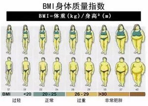 bmi不科学(bmi指数科学么)