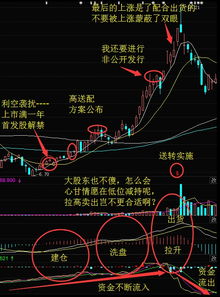 散户怎样变成庄家