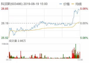 8月29日：神州泰岳成游戏行业龙头股，涨幅超过9%