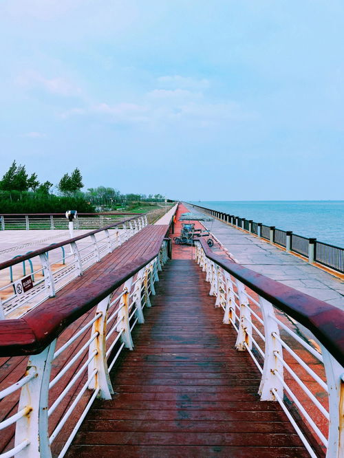 天津唯一被海环绕 绝美浪漫的看海露营地点 