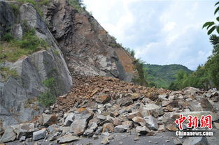 浙江丽水突发山体滑坡道路被封 幸无人员被埋 