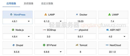 阿里云服务器ECS跟云虚拟主机那个好些 都有什么区别啊 (ecs和云虚拟主机差别)