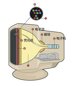 冷冻电镜火了,可电镜发明的曲折过程,你知道吗 