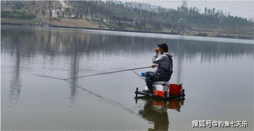 到处都不让钓鱼,郑州却做出榜样 河道划定垂钓区,钓友直呼过瘾