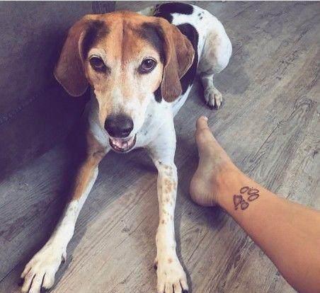 超爱狗, 索性就把狗爪印纹身上了