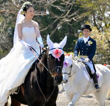 日本一对夫妇马背上举办婚礼 