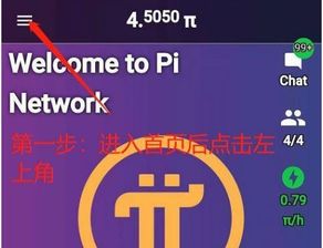 FIS币有什么用,pi 币挖出来有什么用