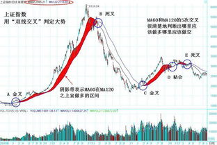 (1/2)2008年4月24日起我国股市交易中规定买卖一次需交1％的印花税，某投资者以每股10元的价格买入上海...