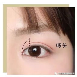 化妆教程 一盘眼影搞定七个妆容,保姆级化妆教程一定要看