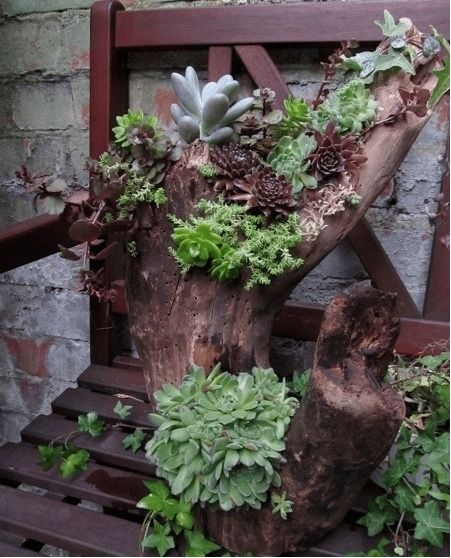 多肉植物遇到大雨会影响他吗？