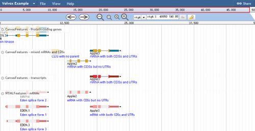 基因组数据库 一个物种的官网