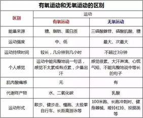 大基数有氧还是无氧好(大基数做无氧有用吗)