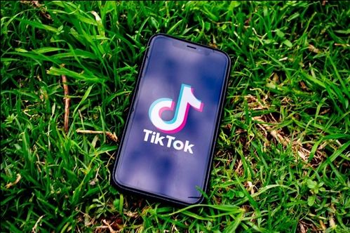 TikTok话题标签推广_TikTok账号代运营