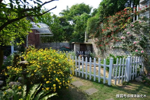 从小白到园艺大神,她花了8年,打造成一个令人向往的花园