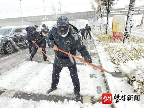 南京全市城管环卫部门出动,迎战虎年首雪