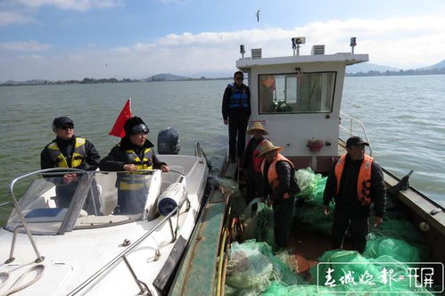 滇池 十年禁渔 ,昆明晋宁渔船停船靠岸集中管理