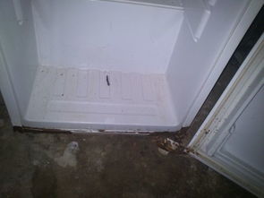 容声冰箱BCD 108GQ,外壳生锈了,门坏了,怎么办 