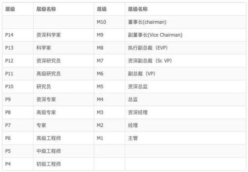 阿里巴巴p6入职有股票么