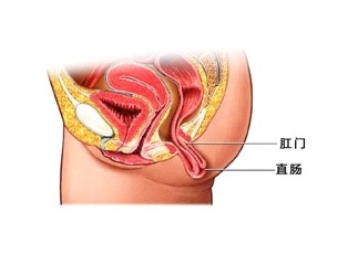 女性脱肛有哪些危害 北京肛肠医院