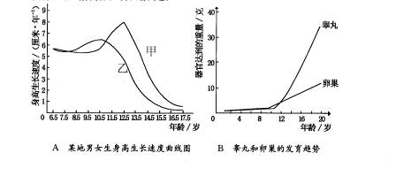 青春期是人一生中身心发展的重要时期.此时男女同学的身高.生理和心理等方面都发生着显著的变化.请分析下图并回答问题. 1 图A中.曲线甲表示的是 身高生长速度的变化曲线 