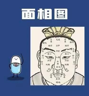 看面相,测酒量 这种人看一眼就知道特能喝 