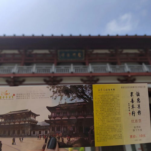 岳阳三天两晚大学生旅游攻略 