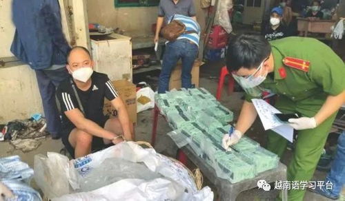 越南侦破柬埔寨 胡志明市近百公斤毒品贩运案