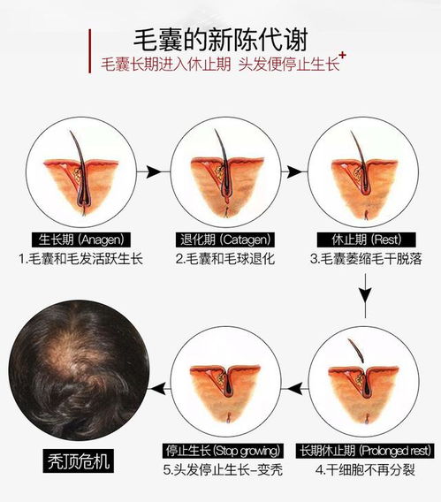 毛囊修复的产品靠谱吗(全新毛囊修护黑科技可是骗局)