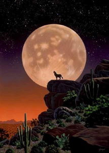 我找一张图片一只狼和一个粉色的月亮 