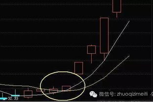 如何用软件选出均线金叉股票