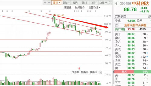 600110这票下周的走势！本人以满仓介入