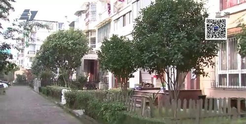 网友投诉 江南春晓小区好多公共绿地变私人花园,物业说 违建有400多户 