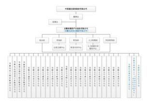 中国通信服务有限公司是什么性质的公司？