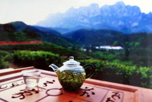 江西南昌有庐山云雾茶,江西有哪些名茶?