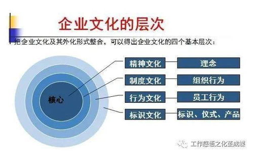 通过什么途径可以了解一个企业的企业文化，经营模式等。