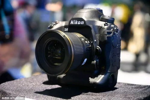 新品丨尼康将于2月发布D6相机