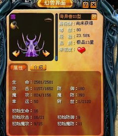 魔域12星XO问题 