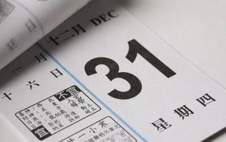 2019年8月2日12生肖运势,猪 马 兔大吉,鸿运当头