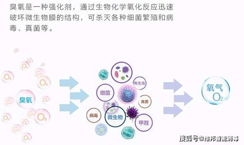 臭氧对空气净化的作用 臭 家伙的 好心肠